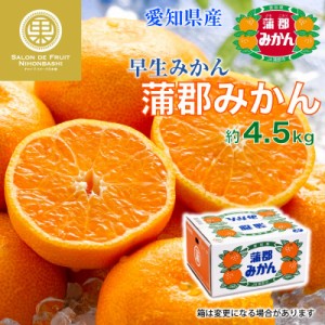 [予約 12月1日-12月20日の納品] 蒲郡みかん 早生 約4.5kg 愛知県蒲郡産 専用箱 蒲郡早生みかん 早生 蒲郡 宮川早生他