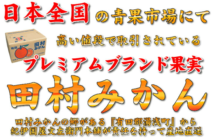 V6054_田村みかん特選ギフト 10kg赤秀