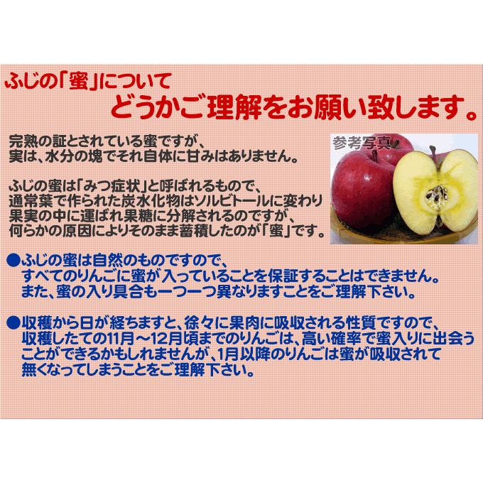 りんご 訳あり 青森県産 サンふじ 小玉 キズあり 5kg  産地直送 産直 自宅用 ワケあり お試し 試食 食べ物 旬の くだもの 果物