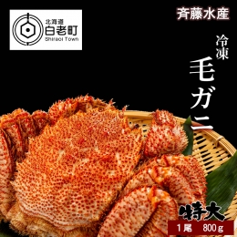 特大サイズ！冷凍毛がに約800g×1尾