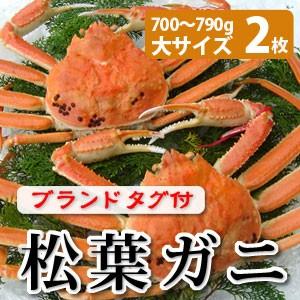 松葉ガニ（松葉がに）700〜790g（大サイズ）×2枚 日本海産 未冷凍 お歳暮ギフト 送料無料（北海道・沖縄を除く）