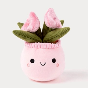 [療癒小禮] 瑞典 Teddykompaniet 鬱金香盆栽 (含禮盒)