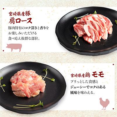 ふるさと納税 宮崎市 宮崎県産牛豚鶏牛タンスライス焼肉セット