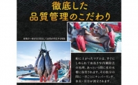 本マグロ（養殖）トロ＆赤身セット 240g 高級 クロマグロ 中トロ 中とろ まぐろ マグロ 鮪 刺身 赤身 柵 じゃばらまぐろ 本マグロ 本鮪