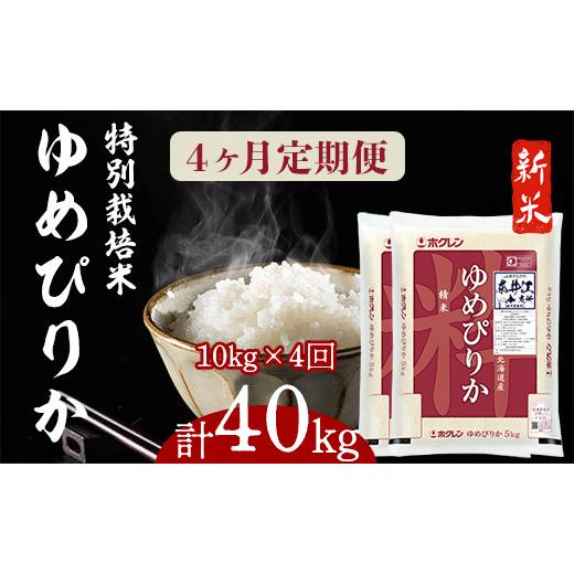 ふるさと納税 北海道 奈井江町 日経トレンディ「米のヒット甲子園」大賞受賞『特栽米ゆめぴりか5kg×2』定期便！毎月1回・計4回お届け