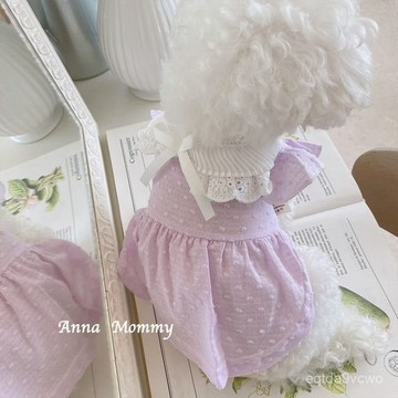💯臺灣出貨💯免運💯可愛夏季狗狗衣服寵物小狗貓咪衣服薄款公主風裙博美小型犬連衣裙 IIQG