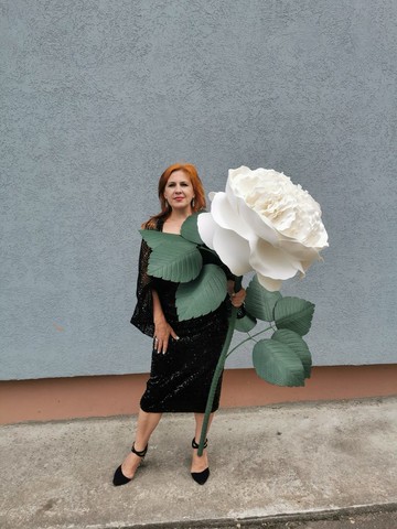 英國玫瑰。莖上開大花。巨大的白玫瑰。奧斯汀羅斯.婚禮裝飾