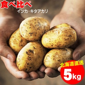 今季出荷開始中 送料無料 新じゃがいも 新じゃが 北海道産 じゃがいも 食べ比べセット 5kg（キタアカリ3kg・インカのめざめ2kg）   5キロ