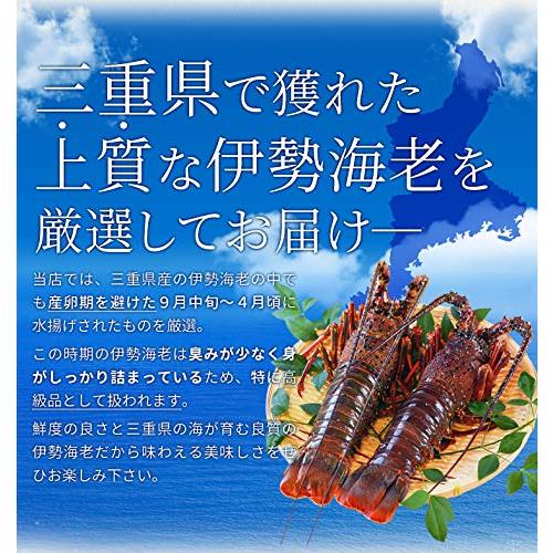 伊勢海老半身 大サイズ４個 鮮度の良い三重県産伊勢海老を瞬間凍結 調理しやすいよう半分にカット 海鮮 バーベキュー BBQ テルミドール イセエビ い