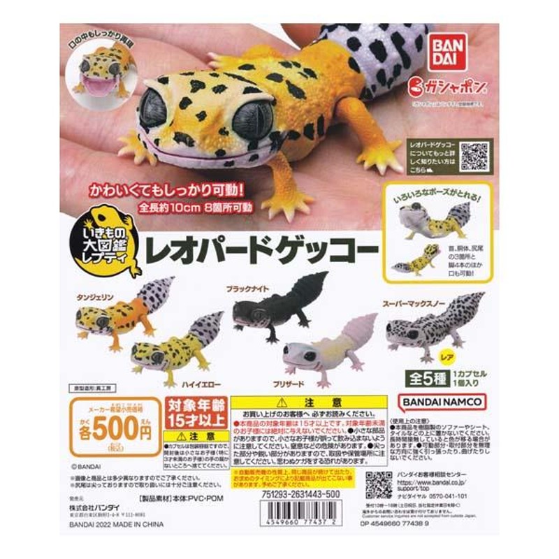 いきもの大図鑑 レプティ レオパードゲッコー Leopard gecko