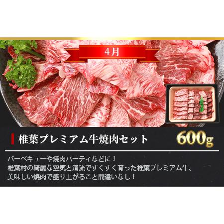 ふるさと納税 総重量1.8kg！椎葉プレミアム牛 大自然の中で味わうBBQ定期便≪焼き肉・ステーキ≫ 宮崎県椎葉村