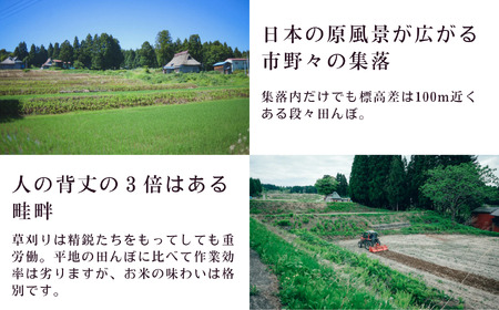 令和5年産新米 新潟県産コシヒカリ「いちのまい」2㎏×6回 計12㎏ 米・食味鑑定士お墨付き 新米 精米したてを発送 こしひかり 糸魚川 白米