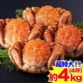 かに カニ 蟹 毛蟹 毛蟹 け蟹 ケガニ 超特大！！北海道浜茹で毛がに姿 4杯（約4kg）