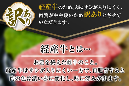 訳あり≪数量限定≫黒毛和牛ヒレステーキ(計360g)　肉　牛　牛肉　国産 CD47-23