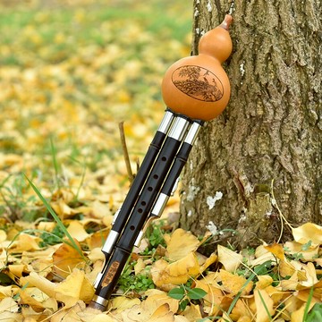 葫蘆絲 葫蘆絲樂器初學者c調降b調兒童小學生入門專業演奏成人男女自學 【CM1836】