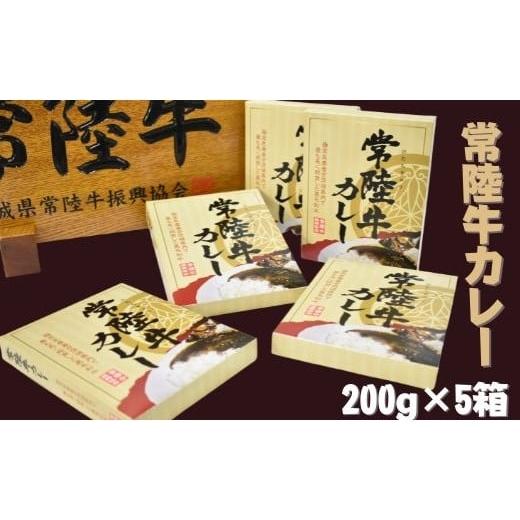 ふるさと納税 茨城県 行方市 DH-13 レトルトカレー（200g×5箱）