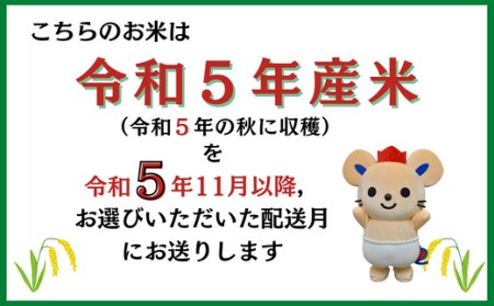 3種食べ比べセット30kg定期便（15㎏×2回）岡山県総社市産〔令和6年2月・4月配送〕 23-025-020