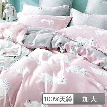 【貝兒居家生活館】100%天絲四件式兩用被床包組 (加大雙人/慵懶貓咪粉)