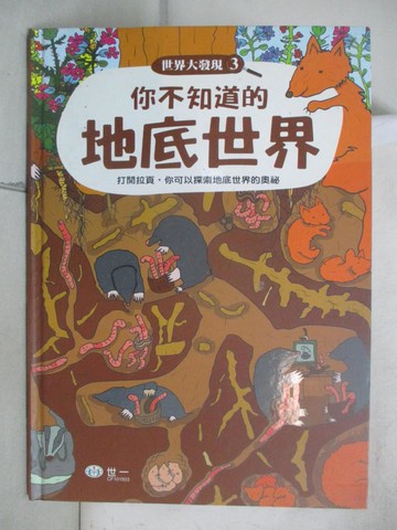 【書寶二手書T1／少年童書_FFE】你不知道的地底世界_?t?p?nka Sekaninov?,  徐紹雅