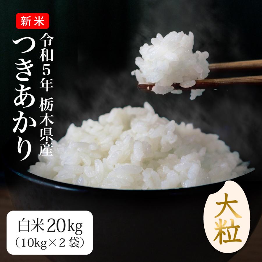 米 20kg お米 つきあかり 送料無料 白米 新米 令和5年 栃木県産（北海道・ 九州 300円）