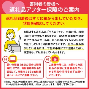 白桃 (品種おまかせ) 5kg (12～18玉) 東根農産センター提供