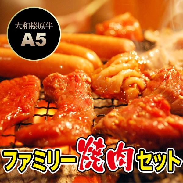 大和榛原牛 A5 ファミリー焼肉セット 760g （牛カルビ：150g、牛バラ：150g、ハンバーグ：130g×2個、ポークソーセージ：5本） 送料無料 冷凍便