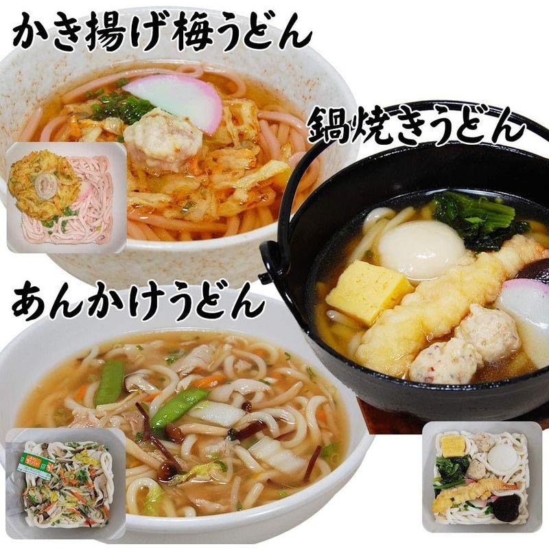 ふみこ農園 豪華具材付き冷凍麺セット 冷凍食品 調理3分 冷凍ラーメン 冷凍うどん 冷凍そば (冷凍麺9種セット)