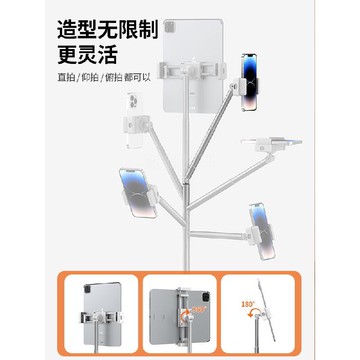 藍獅 手機 iPad 落地支架 俯拍升降直播專用 平板拍攝伸縮懶人支撐 床頭 床上桌面 戶外補光燈架