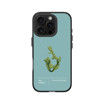 iPhone 16 Pro Clear 酷墨灰 - The Seaweed Studio - 德文郡・美扇藻研習