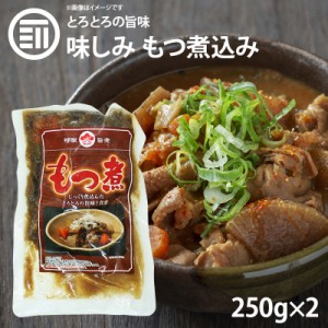 [前田家]  九州の味 とろとろもつ煮込み 250gx2パック 国内製造 モツ煮 ホルモン 煮込み料理 レトルト 惣菜 煮物 おかず 常温 食品 おつ