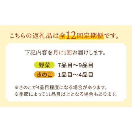 ふるさと納税 野菜定期便 キノコをセット「12回（毎月）」お届け 10品目以上 詰め合わせ 12回 きのこ 新鮮 毎月 定期 旬 野菜セ.. 長崎県南島原市