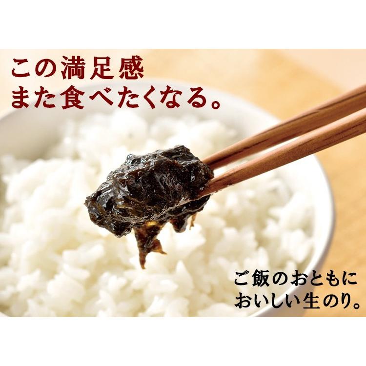 おいしい生のり 日本自然発酵 120g×2個 食品