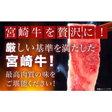 ふるさと納税 宮崎牛焼肉用ロース切り身500g(真空パック)_13-8902_(都城市) 都城産 宮崎牛 焼肉用ロース切り身 真空パック 焼肉 カット 宮崎県都城市