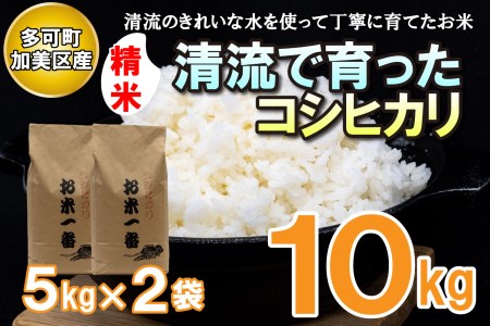 多可町加美区の清流で育ったコシヒカリ５kg×２袋[829]