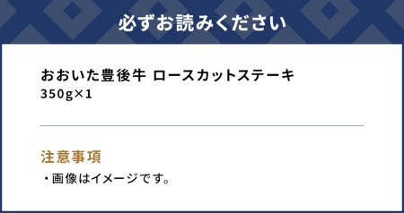 おおいた豊後牛 ロースカットステーキ 350g 和牛 豊後牛 国産牛 赤身肉 焼き肉 焼肉 ステーキ肉 大分県産 九州産 津久見市 国産