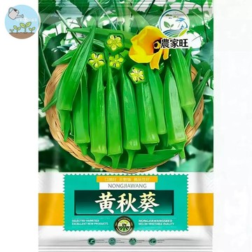 【原廠包裝】黃秋葵種子 台灣氣候好種 養生蔬菜 陽台花盆也能種 連續採收 川燙沾醬超好吃 家庭自種