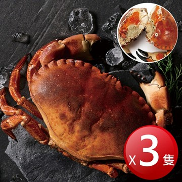 ★免運★冷凍 熟凍黃道蟹(麵包蟹)(600g*3隻) [大買家]
