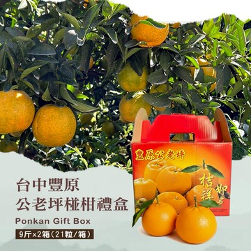 【禾鴻】台中豐原公老坪27A椪柑禮盒9斤x2箱(21粒/箱_春節水果禮盒)