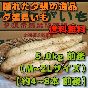 北海道夕張市産 夕張長いも 5kg 前後 Mサイズから2Lサイズ 約4本から8本 前後 11月中旬ごろよりお届け予定