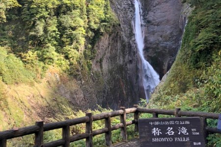 お米 こしひかり 富山県立山町産 1kg×3袋 計3kg 横山ファーム 富山県