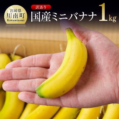 ふるさと納税 川南町  国産ミニバナナ1kg