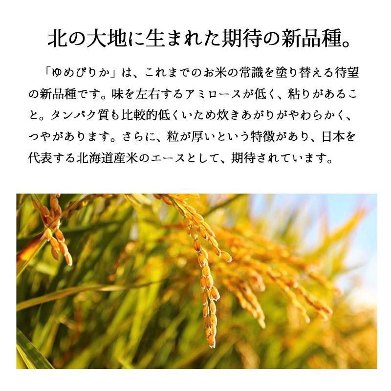 新米 10kg ゆめぴりか お米 令和５年産 北海道産 送料無料 精米 白米 5kgx2袋