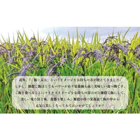 ふるさと納税 熊本県菊池産 七城物語 有機黒米（玄米）合計900g（180g×5パック） 熊本県菊池市