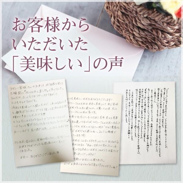 新米 米 20kg つきあかり 宮城県産 米20kg お米 白米 令和5年産 送料無料 5kg×4袋セット