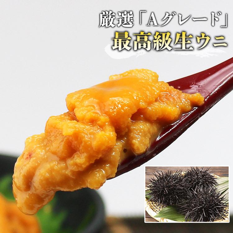 うに 無添加生うに 100g×3パック 究極Aグレード 生ウニ みょうばん不使用 完全無添加 お刺身 送料無料 優良配送 お歳暮 ギフト 10%クーポン