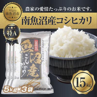 ふるさと納税 南魚沼市 南魚沼産 コシヒカリ 5kg×3 計 15kg(お米の美味しい炊き方ガイド付き)