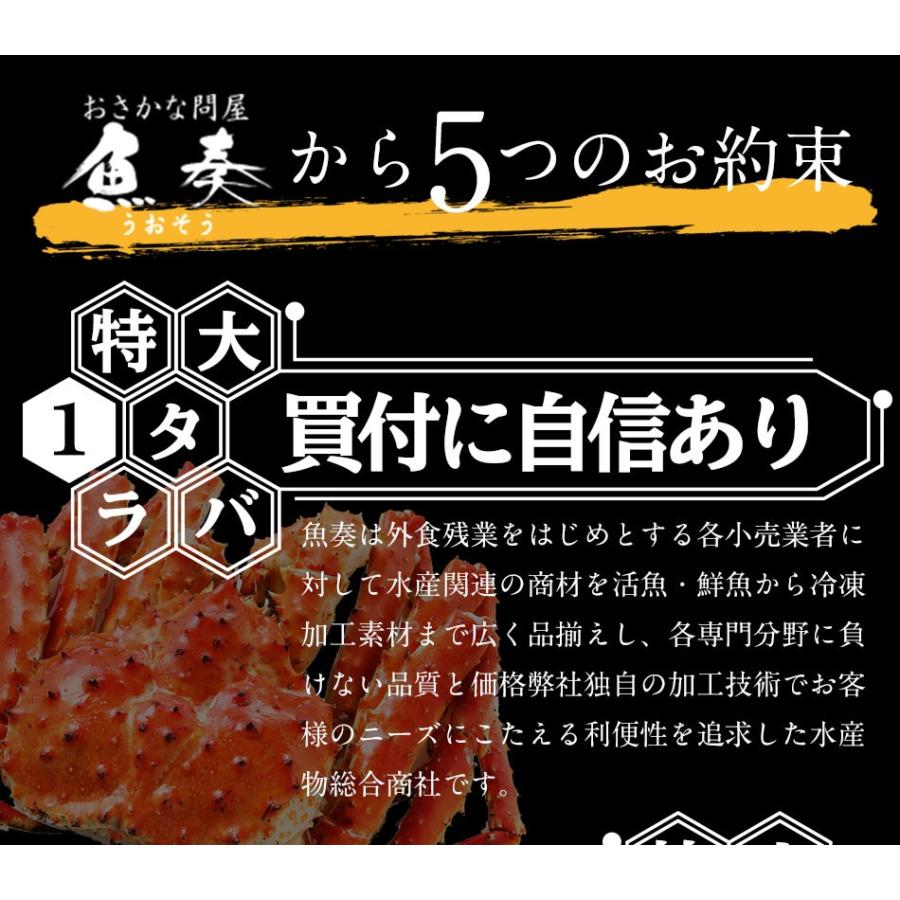 特大 生 タラバガニ 脚 1kg 5Lサイズ 2〜3人前 かに カニ 蟹 たらば