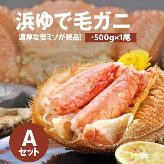 産地直送 2023お歳暮 冬ギフト　北海道 浜ゆで毛ガニ 500ｇ×1尾（A） 43 冷凍便　送料無料　蟹 カニ