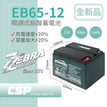 CSP】EB65-12 銀合金膠體電池12V65Ah電動車電動機車老人代步車電動輪椅