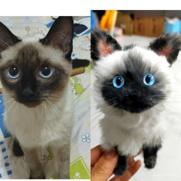 下殺優惠🎈手工定製寵物 仿真貓咪 客製化寵物 毛絨玩偶 客製寵物紀念品 客製永久玩偶 交換禮 客製化狗狗 客製化貓咪 F